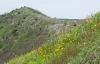 DSC08750.jpg