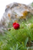 Файл=DSC08755.jpg
Объём=244KB
Размеры=1000x1494
Дата=Май 20, 2011 DSC08755.jpg