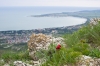 Файл=DSC08757.jpg
Объём=365KB
Размеры=1100x730
Дата=Май 20, 2011 DSC08757.jpg