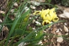 Файл=DSC08769~0.jpg
Объём=167KB
Размеры=1000x688
Дата=Май 20, 2011 DSC08769~0.jpg