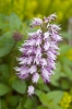 Файл=DSC08779.jpg
Объём=177KB
Размеры=900x1347
Дата=Май 20, 2011 DSC08779.jpg