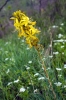 Файл=DSC08780.jpg
Объём=227KB
Размеры=900x1344
Дата=Май 20, 2011 DSC08780.jpg