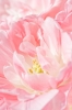 Файл=DSC08799.jpg
Объём=97KB
Размеры=900x1344
Дата=Май 11, 2011 DSC08799.jpg