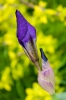 Файл=DSC08807.jpg
Объём=177KB
Размеры=900x1344
Дата=Май 13, 2011 DSC08807.jpg