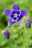 Файл=DSC08814.jpg
Объём=191KB
Размеры=900x1344
Дата=Май 13, 2011 DSC08814.jpg
