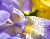 Файл=DSC08930.jpg
Объём=184KB
Размеры=1024x795
Дата=Май 21, 2011 DSC08930.jpg