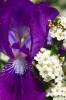 Файл=DSC08931.jpg
Объём=203KB
Размеры=900x1358
Дата=Май 21, 2011 DSC08931.jpg