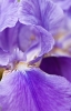 Файл=DSC08946.jpg
Объём=422KB
Размеры=900x1404
Дата=Май 21, 2011 DSC08946.jpg