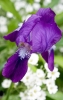 Файл=DSC08955.jpg
Объём=225KB
Размеры=900x1410
Дата=Май 21, 2011 DSC08955.jpg