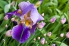 Файл=DSC08956.jpg
Объём=167KB
Размеры=1000x669
Дата=Май 21, 2011 DSC08956.jpg