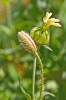Файл=DSC08980.jpg
Объём=246KB
Размеры=900x1344
Дата=Май 31, 2011 DSC08980.jpg