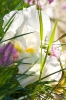 Файл=DSC08983.jpg
Объём=304KB
Размеры=900x1344
Дата=Май 31, 2011 DSC08983.jpg