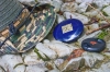 Файл=DSC09169.jpg
Объём=310KB
Размеры=1200x803
Дата=Сент 09, 2011 DSC09169.jpg