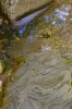 DSC09232.jpg