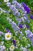 Файл=DSC09285.jpg
Объём=252KB
Размеры=900x1344
Дата=Июнь 15, 2011 DSC09285.jpg