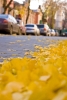 Файл=Ginco_u.jpg
Объём=71KB
Размеры=536x800
Дата=Фев 06, 2010 Ginco_u.jpg