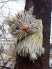 Файл=IMGP5043.jpg
Объём=242KB
Размеры=1000x1333
Дата=Дек 16, 2013 IMGP5043.jpg