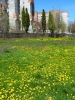 Файл=P1010095.jpg
Объём=361KB
Размеры=1000x1333
Дата=Апр 25, 2011 P1010095.jpg