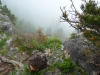 Файл=P1010807.jpg
Объём=341KB
Размеры=1100x825
Дата=Авг 31, 2011 P1010807.jpg