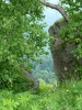 Файл=P1010932.jpg
Объём=462KB
Размеры=900x1200
Дата=Сент 05, 2011 P1010932.jpg