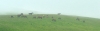 Файл=P1010944.jpg
Объём=59KB
Размеры=1100x341
Дата=Сент 05, 2011 P1010944.jpg