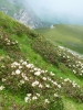 Файл=P1020013.jpg
Объём=587KB
Размеры=900x1200
Дата=Сент 06, 2011 P1020013.jpg