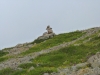 Файл=P1020021.jpg
Объём=287KB
Размеры=1100x825
Дата=Сент 06, 2011 P1020021.jpg