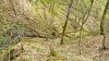 Файл=P1020630.jpg
Объём=360KB
Размеры=1300x731
Дата=Апр 17, 2012 P1020630.jpg