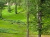 Файл=P1050477.jpg
Объём=327KB
Размеры=1300x975
Дата=Окт 17, 2012 P1050477.jpg