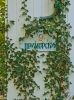 Файл=P1060399.jpg
Объём=226KB
Размеры=1000x1342
Дата=Окт 13, 2012 P1060399.jpg
