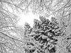 Файл=P1070844.jpg
Объём=715KB
Размеры=1300x975
Дата=Фев 20, 2013 P1070844.jpg
