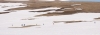 Файл=Panorama.jpg
Объём=166KB
Размеры=1500x537
Дата=Май 05, 2010 Panorama.jpg