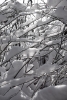 Файл=ace_snow.jpg
Объём=144KB
Размеры=536x800
Дата=Фев 06, 2010 ace_snow.jpg