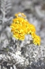 Файл=b_y.jpg
Объём=179KB
Размеры=800x1201
Дата=Июль 06, 2009 b_y.jpg