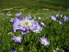 Файл=blau~0.jpg
Объём=269KB
Размеры=900x675
Дата=Авг 11, 2008 blau~0.jpg