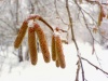 Файл=brunki.jpg
Объём=340KB
Размеры=800x600
Дата=Янв 04, 2009 brunki.jpg
