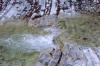Файл=bul-bul.jpg
Объём=238KB
Размеры=900x600
Дата=Окт 20, 2008 bul-bul.jpg