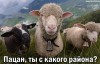 Файл=chuvak.jpg
Объём=19KB
Размеры=300x192
Дата=Сент 11, 2007 chuvak.jpg