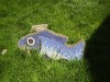 fish~0.jpg