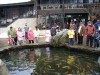 Файл=fish.jpg
Объём=146KB
Размеры=800x600
Дата=Янв 10, 2007 fish.jpg