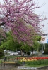 Файл=gorizont.jpg
Объём=327KB
Размеры=900x1308
Дата=Май 01, 2009 gorizont.jpg