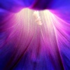 Файл=ipomeja.jpg
Объём=103KB
Размеры=700x700
Дата=Окт 01, 2008 ipomeja.jpg