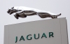 jaguar.jpg