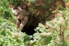 karst2.jpg