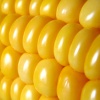 Файл=kukuruza.jpg
Объём=117KB
Размеры=700x700
Дата=Окт 01, 2008 kukuruza.jpg