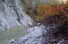 Файл=kust.jpg
Объём=321KB
Размеры=1000x645
Дата=Окт 23, 2008 kust.jpg