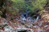 Файл=leviy.jpg
Объём=292KB
Размеры=900x598
Дата=Окт 23, 2008 leviy.jpg