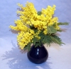 Файл=mimoza2.jpg
Объём=171KB
Размеры=760x750
Дата=Март 08, 2009 mimoza2.jpg