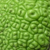 Файл=om.jpg
Объём=245KB
Размеры=700x700
Дата=Окт 17, 2008 om.jpg