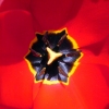 Файл=red_kvadrat.jpg
Объём=100KB
Размеры=800x800
Дата=Апр 17, 2009 red_kvadrat.jpg